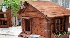 Kutyaház - hogyan válasszuk ki